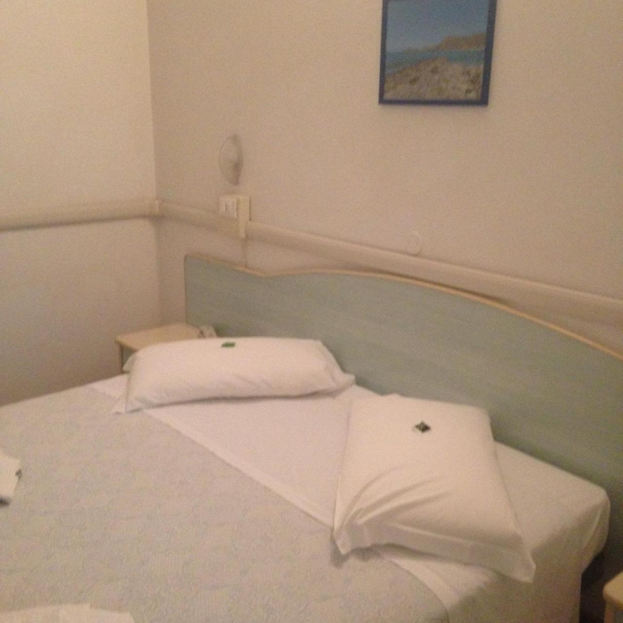 Hotel Carol 3*