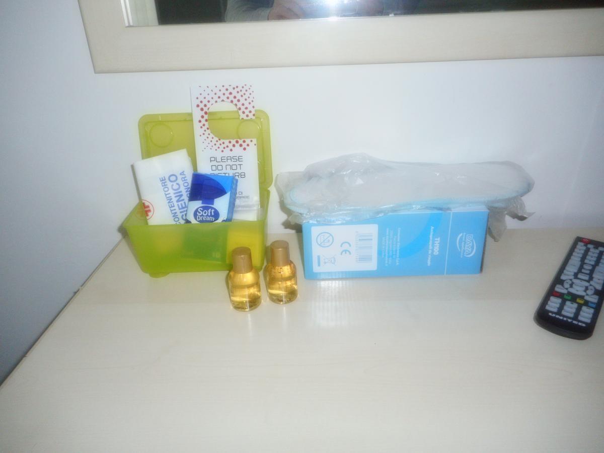 Hotel Carol 3*