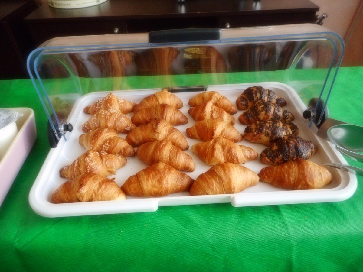 Hotel Carol 3*